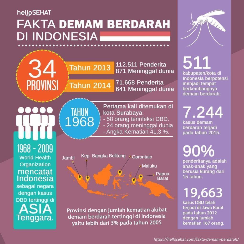 la dengue hellosehat en Indonésie