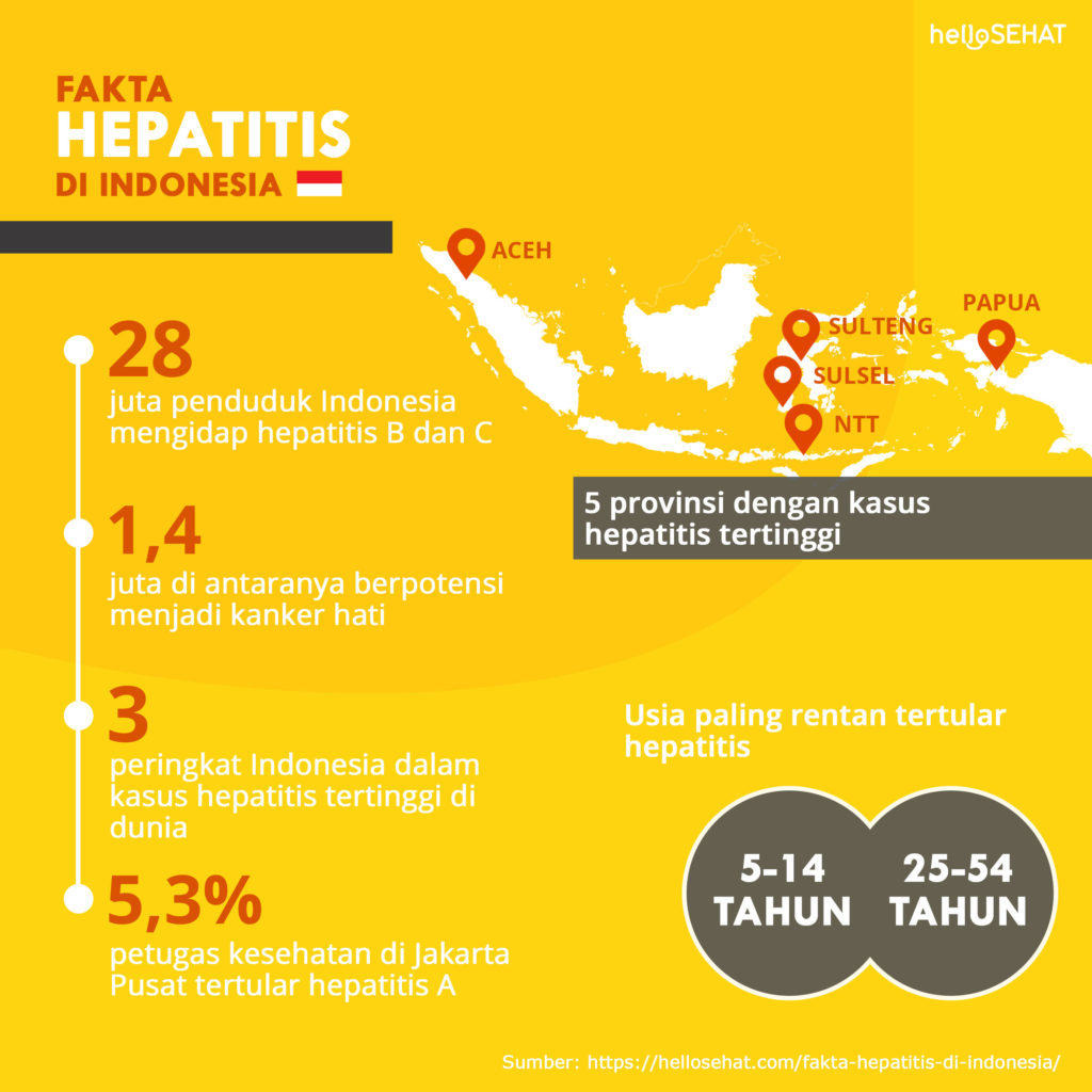 Faits sur l'hépatite en Indonésie