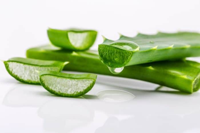Aloe vera pour le traitement du visage par le psoriasis